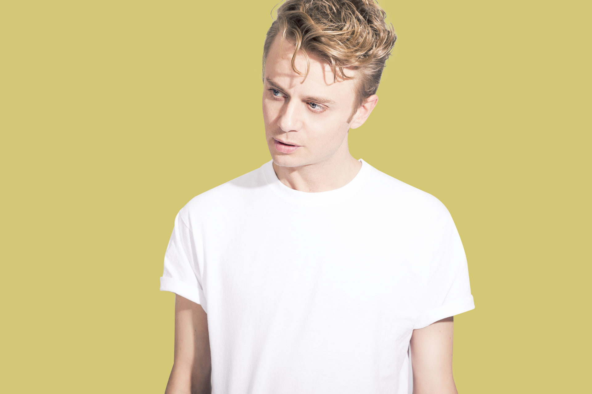 WOUTER HAMEL - PAARD