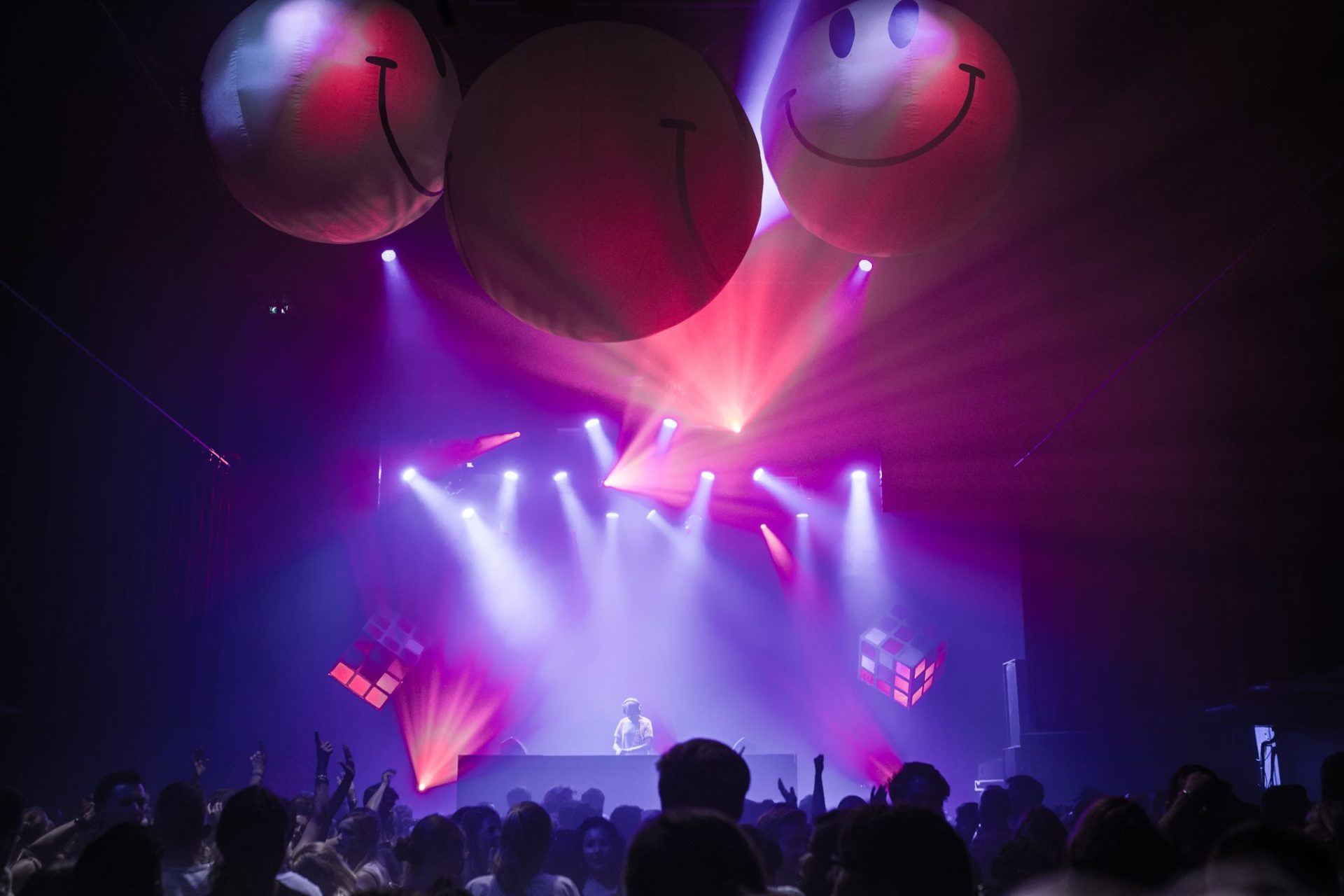 Paardcafé Dj Prosciutto PAARD