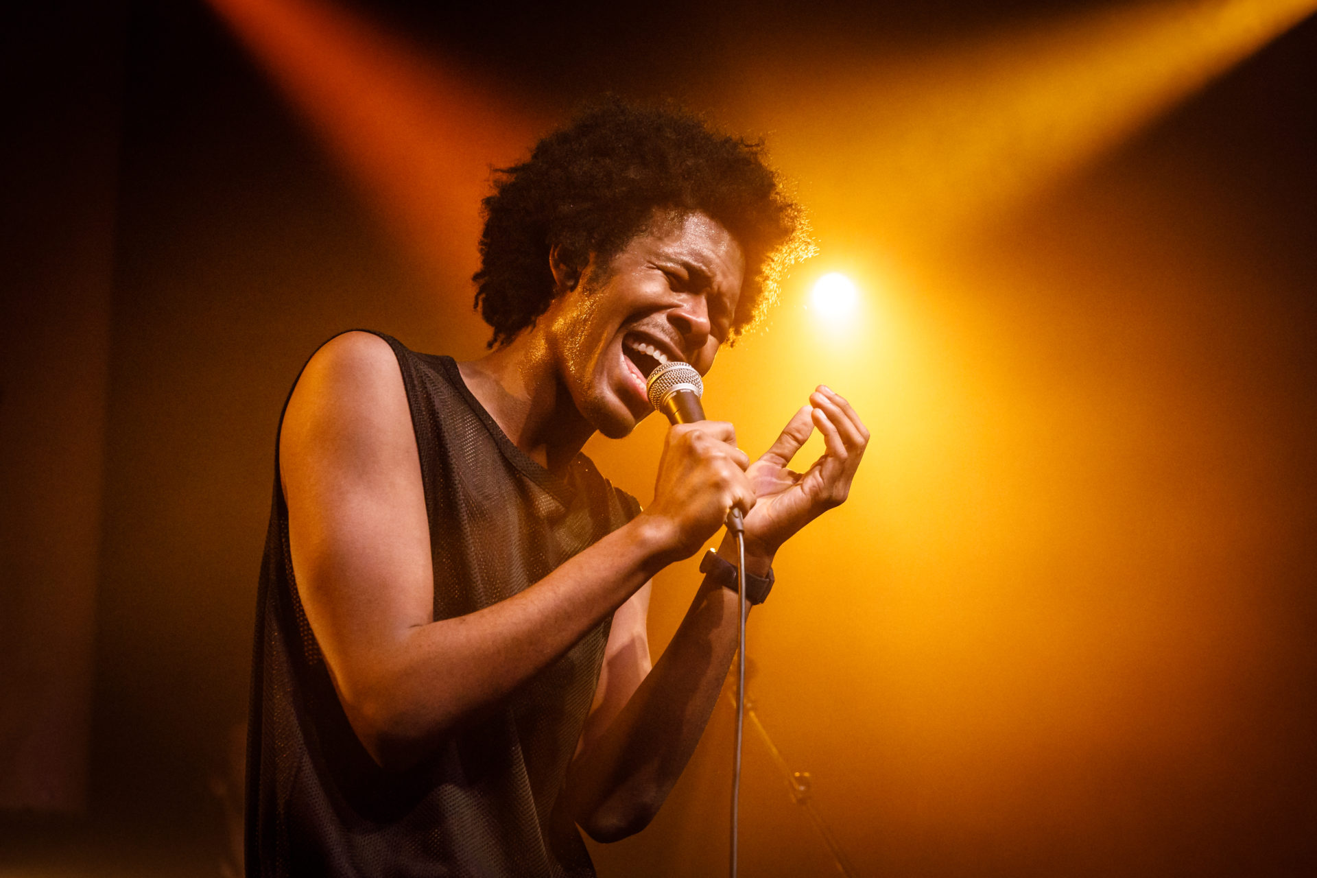 JEANGU MACROOY PAARD