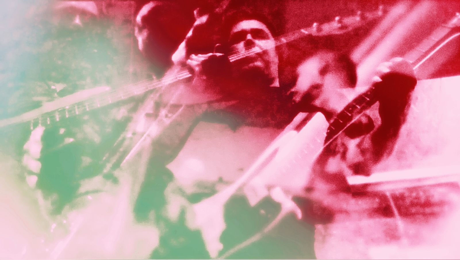 LAURA PALMER & LIVE SKULL PAARD