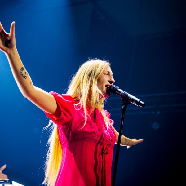 Fotoverslag S10 Paard