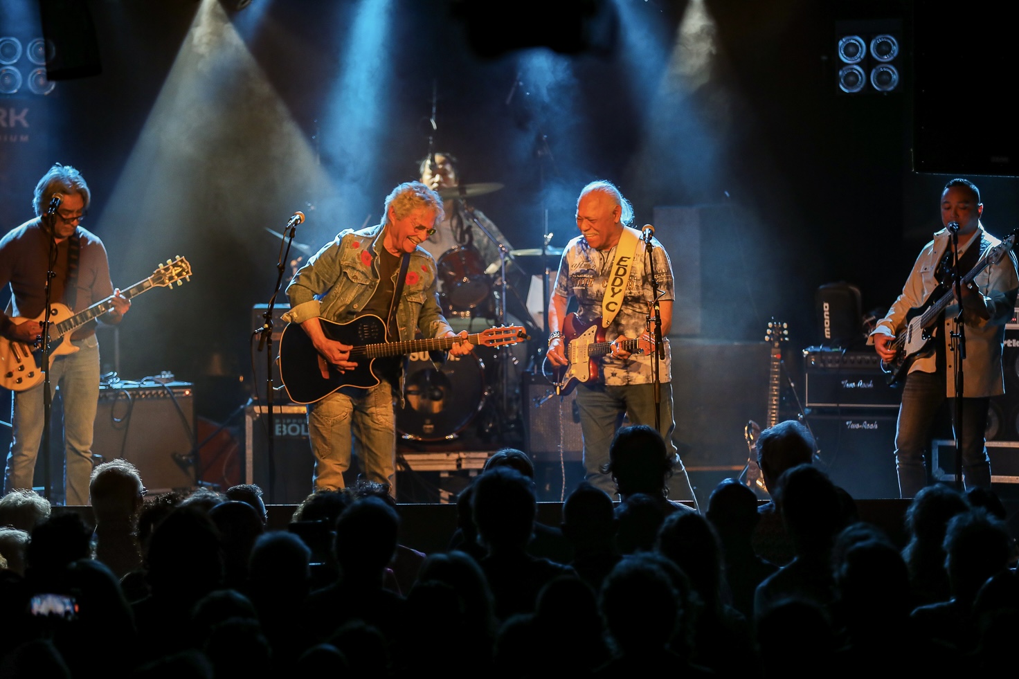 THE CRAZY ROCKERS 65 JAAR - PAARD
