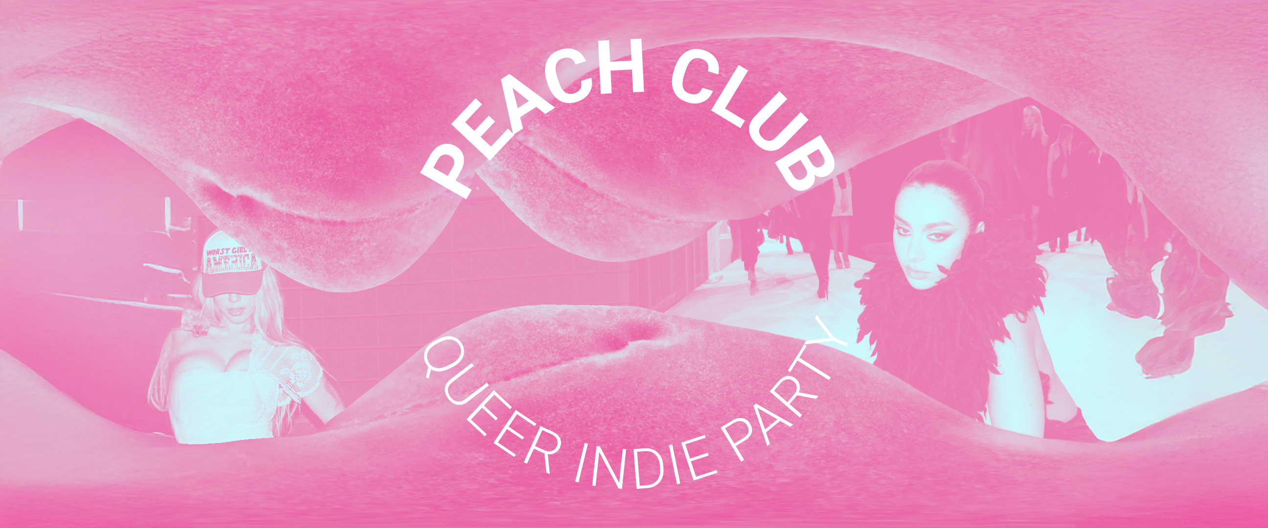 Paardcafé: Peach club in Paard, Den Haag